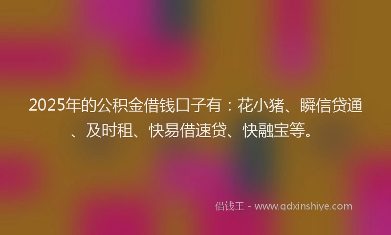 2025年的公积金借钱口子有：花小猪、瞬信贷通、及时租、快易借速贷、快融宝等。