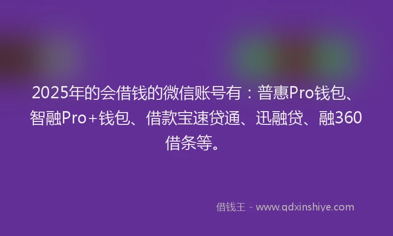 2025年的会借钱的微信账号有：普惠Pro钱包、智融Pro+钱包、借款宝速贷通、迅融贷、融360借条等。