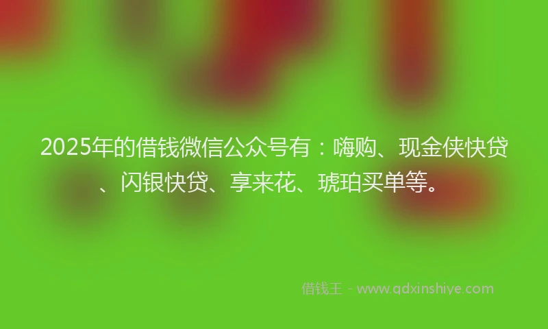 2025年的借钱微信公众号有：嗨购、现金侠快贷、闪银快贷、享来花、琥珀买单等。