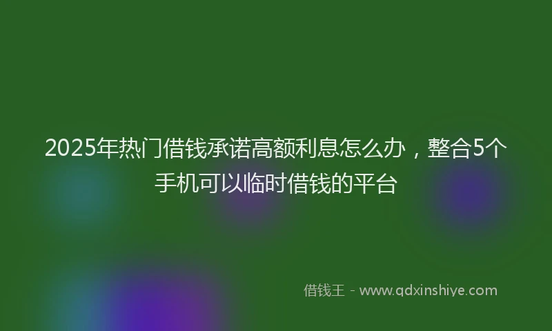2025年热门借钱承诺高额利息怎么办，整合5个手机可以临时借钱的平台