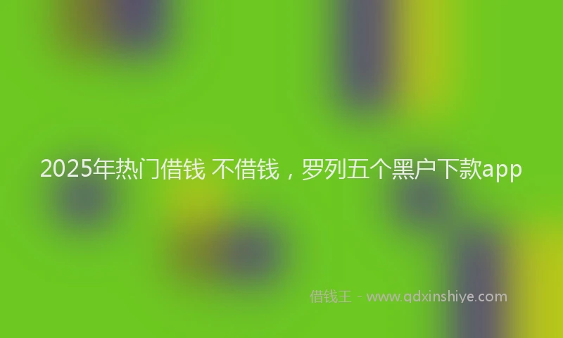 2025年热门借钱 不借钱，罗列五个黑户下款app
