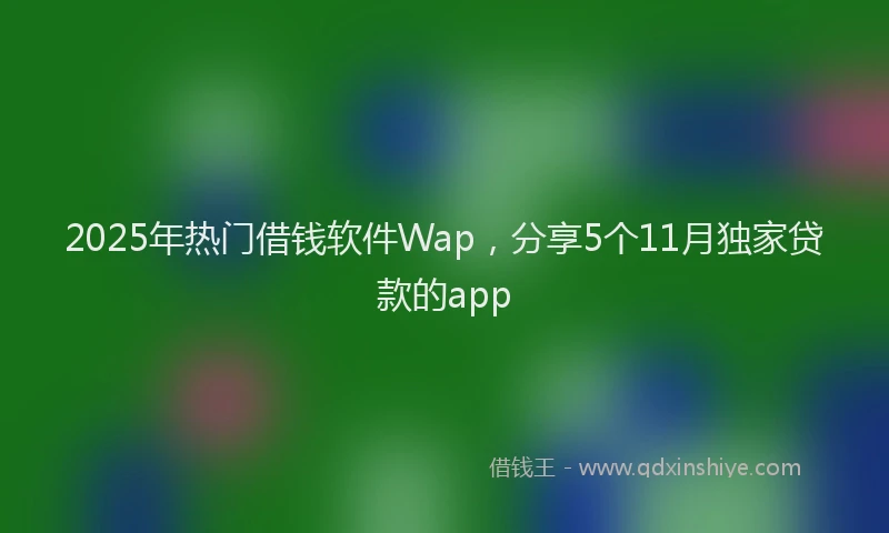 2025年热门借钱软件Wap，分享5个11月独家贷款的app