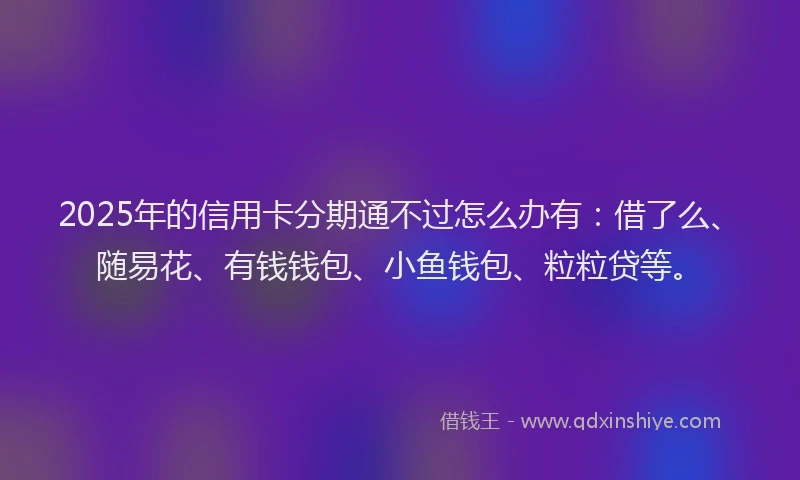 2025年的信用卡分期通不过怎么办有：借了么、随易花、有钱钱包、小鱼钱包、粒粒贷等。