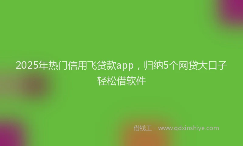 2025年热门信用飞贷款app，归纳5个网贷大口子轻松借软件