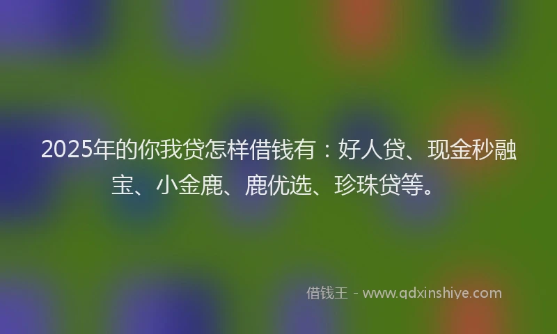 2025年的你我贷怎样借钱有：好人贷、现金秒融宝、小金鹿、鹿优选、珍珠贷等。