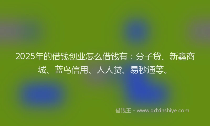 2025年的借钱创业怎么借钱有：分子贷、新鑫商城、蓝鸟信用、人人贷、易秒通等。
