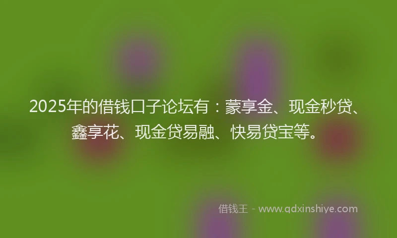 2025年的借钱口子论坛有：蒙享金、现金秒贷、鑫享花、现金贷易融、快易贷宝等。