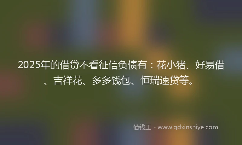 2025年的借贷不看征信负债有：花小猪、好易借、吉祥花、多多钱包、恒瑞速贷等。