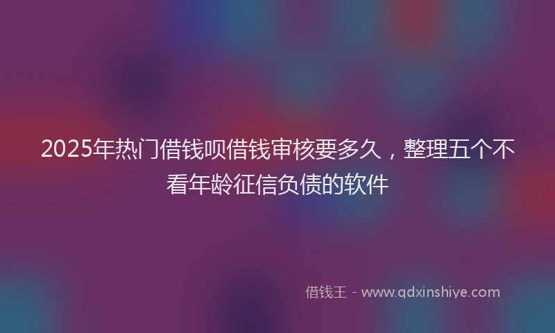 2025年热门借钱呗借钱审核要多久，整理五个不看年龄征信负债的软件