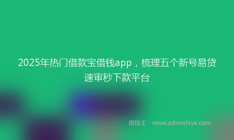 2025年热门借款宝借钱app，梳理五个新号易贷速审秒下款平台