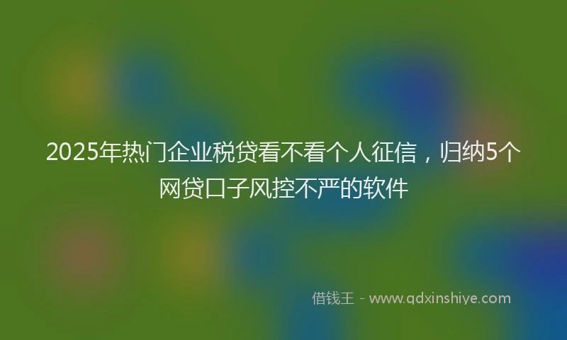 2025年热门企业税贷看不看个人征信，归纳5个网贷口子风控不严的软件