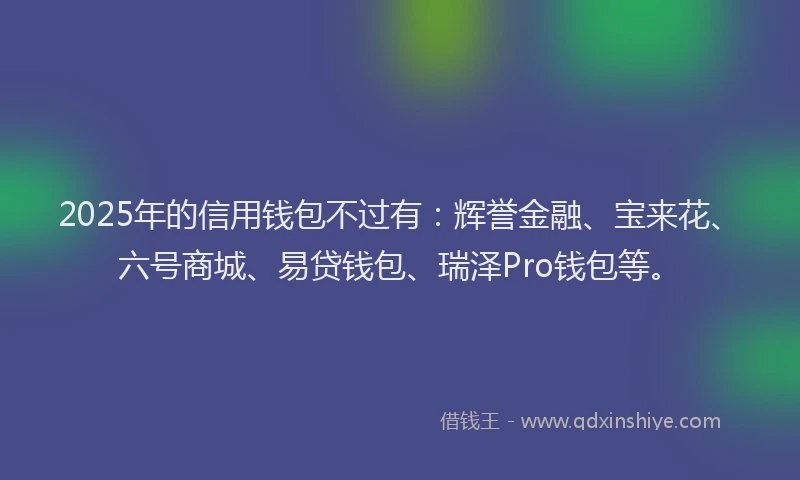 2025年的信用钱包不过有：辉誉金融、宝来花、六号商城、易贷钱包、瑞泽Pro钱包等。