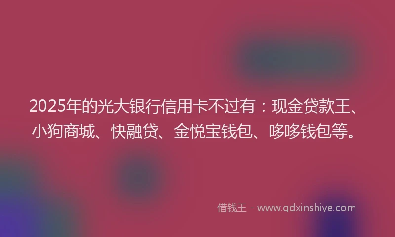 2025年的光大银行信用卡不过有：现金贷款王、小狗商城、快融贷、金悦宝钱包、哆哆钱包等。