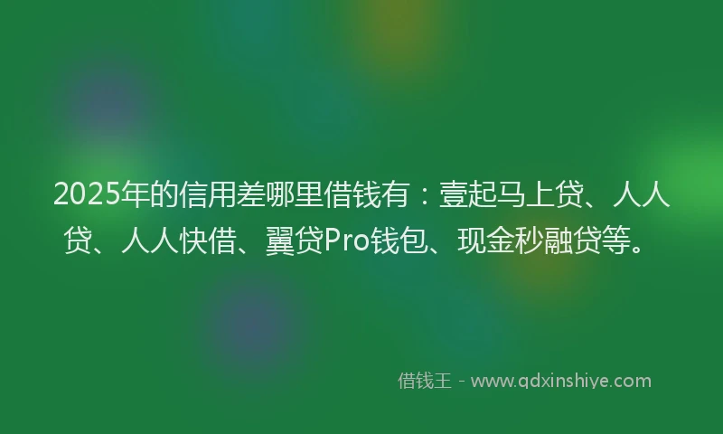 2025年的信用差哪里借钱有：壹起马上贷、人人贷、人人快借、翼贷Pro钱包、现金秒融贷等。