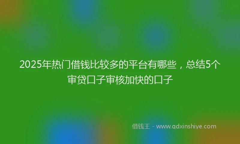 2025年热门借钱比较多的平台有哪些，总结5个审贷口子审核加快的口子