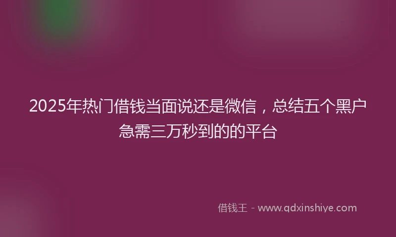 2025年热门借钱当面说还是微信，总结五个黑户急需三万秒到的的平台