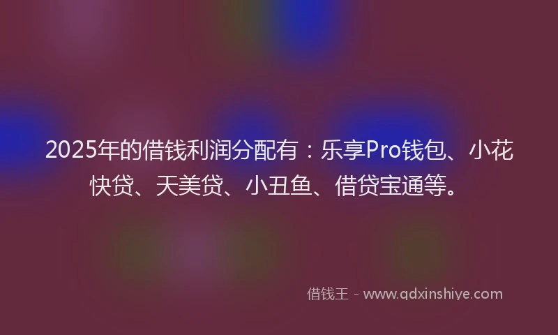 2025年的借钱利润分配有：乐享Pro钱包、小花快贷、天美贷、小丑鱼、借贷宝通等。