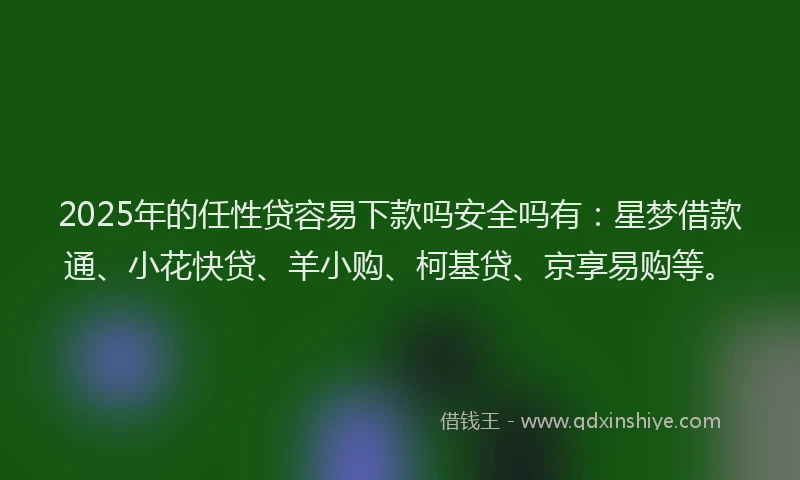 2025年的任性贷容易下款吗安全吗有：星梦借款通、小花快贷、羊小购、柯基贷、京享易购等。