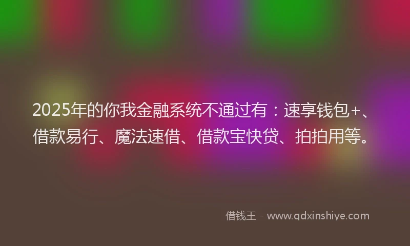 2025年的你我金融系统不通过有：速享钱包+、借款易行、魔法速借、借款宝快贷、拍拍用等。