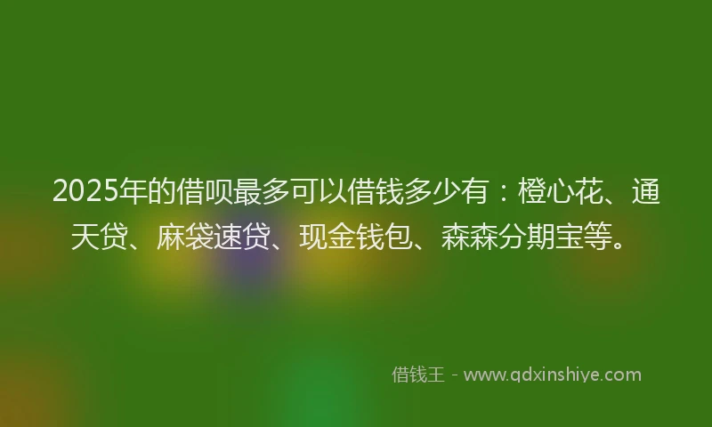 2025年的借呗最多可以借钱多少有：橙心花、通天贷、麻袋速贷、现金钱包、森森分期宝等。