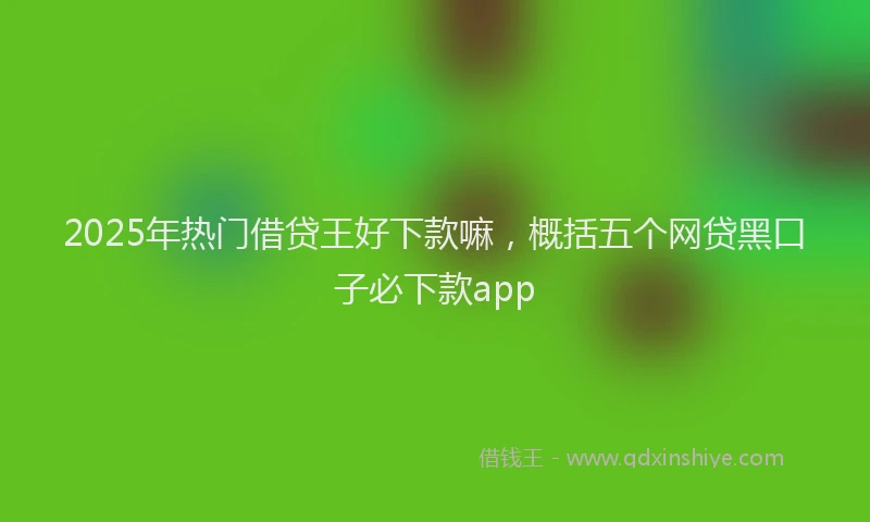 2025年热门借贷王好下款嘛，概括五个网贷黑口子必下款app