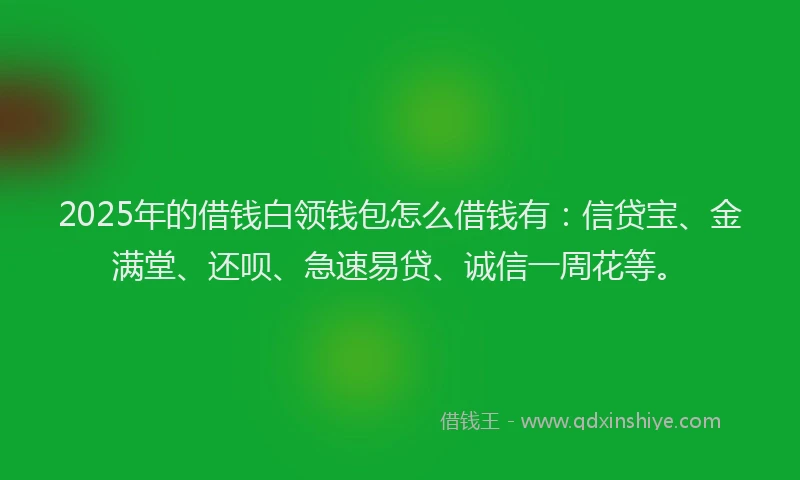 2025年的借钱白领钱包怎么借钱有：信贷宝、金满堂、还呗、急速易贷、诚信一周花等。