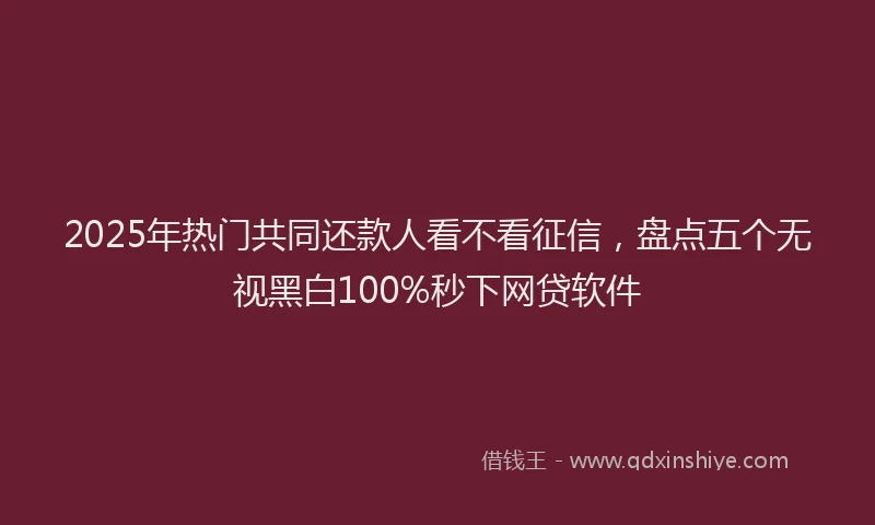 2025年热门共同还款人看不看征信，盘点五个无视黑白100%秒下网贷软件