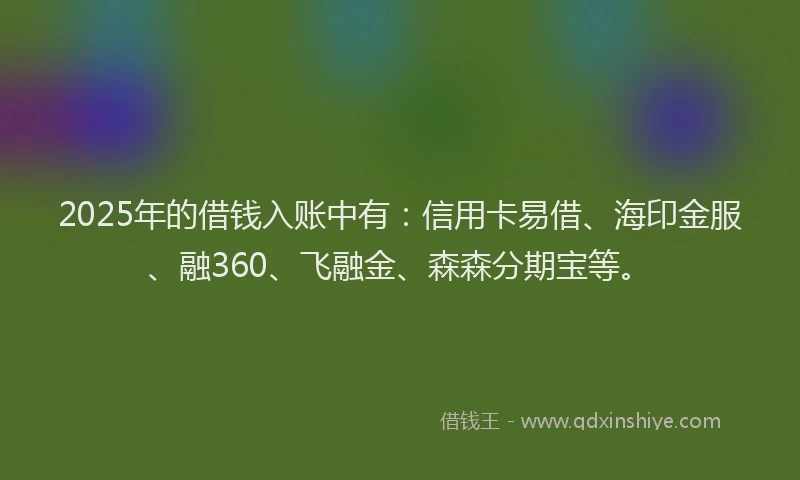 2025年的借钱入账中有：信用卡易借、海印金服、融360、飞融金、森森分期宝等。