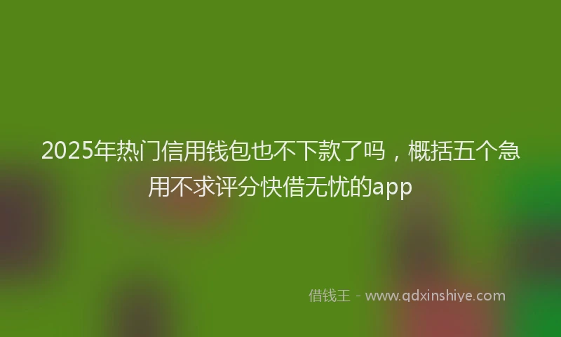 2025年热门信用钱包也不下款了吗，概括五个急用不求评分快借无忧的app