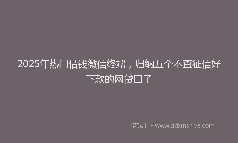 2025年热门借钱微信终端，归纳五个不查征信好下款的网贷口子