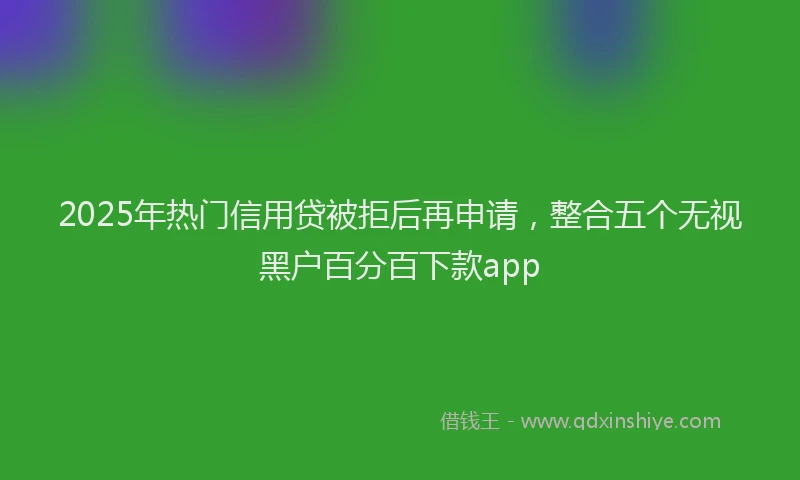 2025年热门信用贷被拒后再申请，整合五个无视黑户百分百下款app