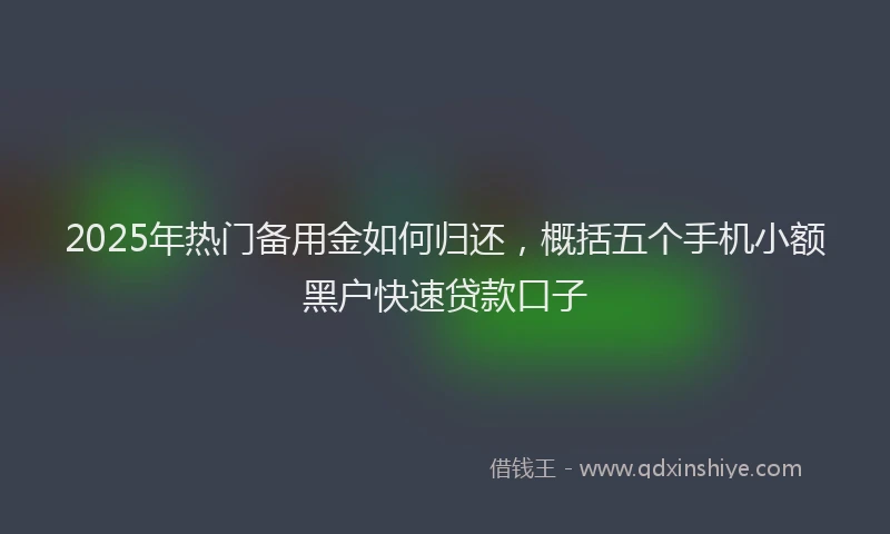 2025年热门备用金如何归还，概括五个手机小额黑户快速贷款口子
