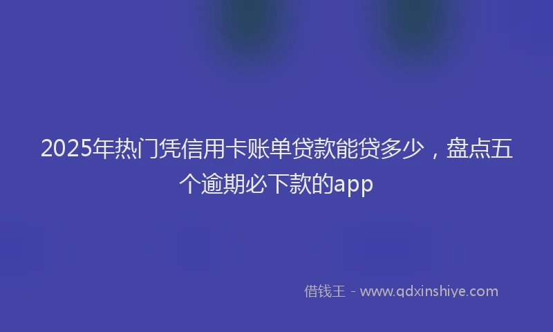 2025年热门凭信用卡账单贷款能贷多少，盘点五个逾期必下款的app