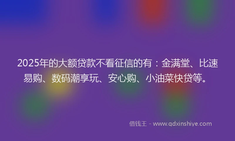 2025年的大额贷款不看征信的有：金满堂、比速易购、数码潮享玩、安心购、小油菜快贷等。