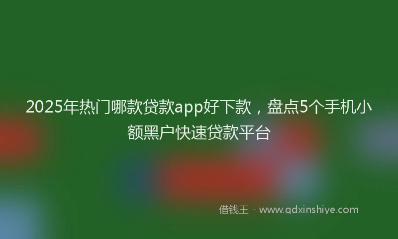 2025年热门哪款贷款app好下款，盘点5个手机小额黑户快速贷款平台