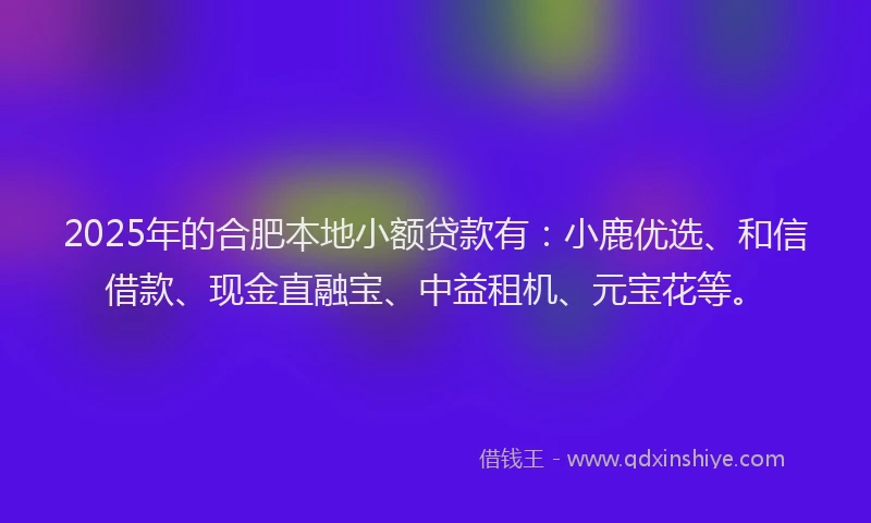 2025年的合肥本地小额贷款有：小鹿优选、和信借款、现金直融宝、中益租机、元宝花等。