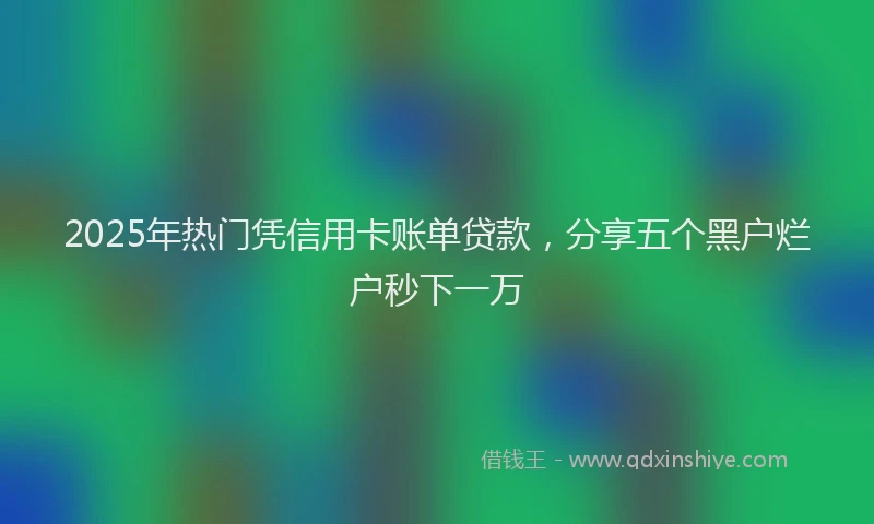 2025年热门凭信用卡账单贷款，分享五个黑户烂户秒下一万