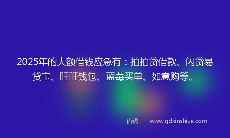 2025年的大额借钱应急有：拍拍贷借款、闪贷易贷宝、旺旺钱包、蓝莓买单、如意购等。