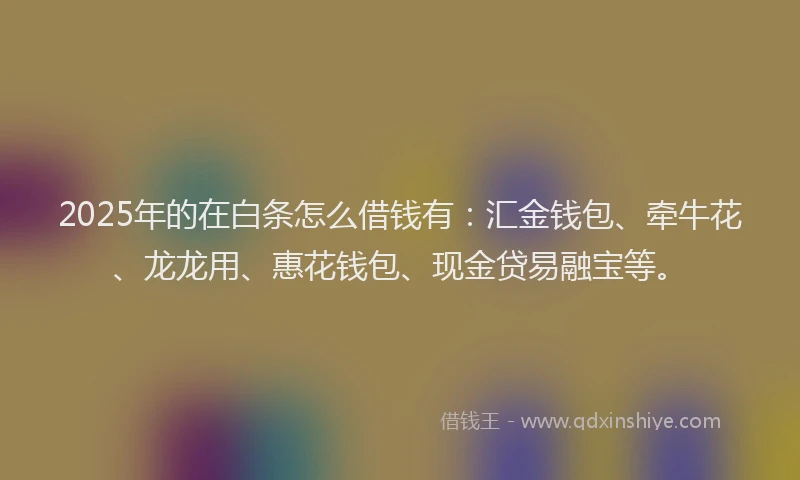 2025年的在白条怎么借钱有：汇金钱包、牵牛花、龙龙用、惠花钱包、现金贷易融宝等。