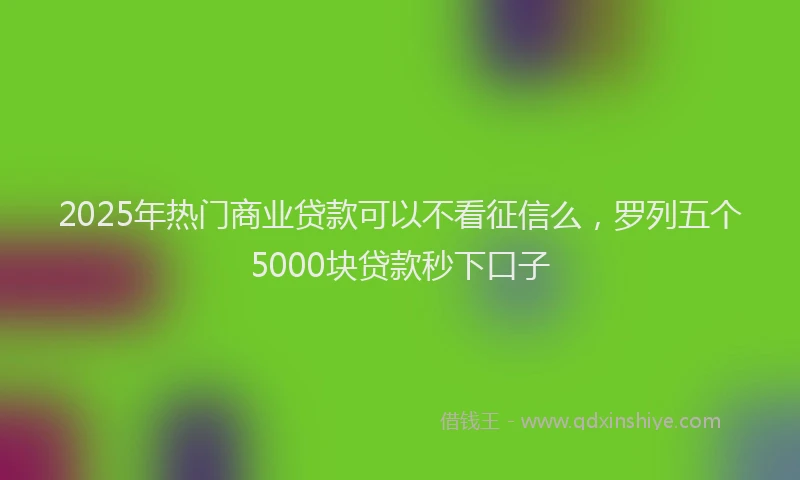 2025年热门商业贷款可以不看征信么，罗列五个5000块贷款秒下口子