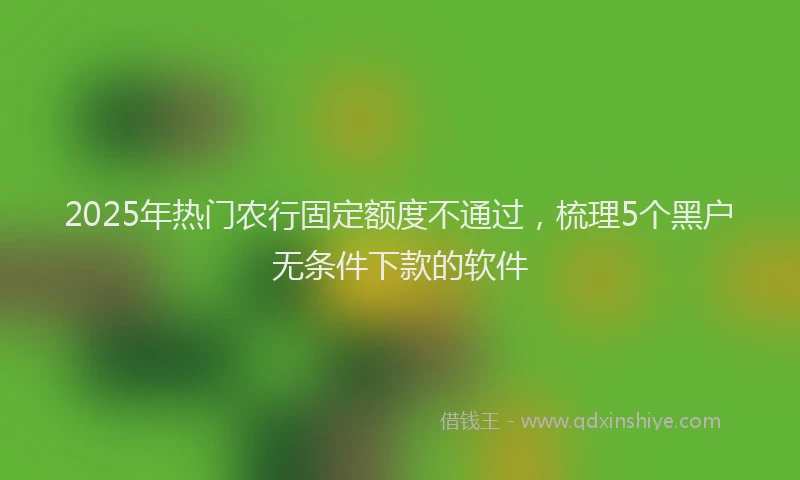 2025年热门农行固定额度不通过，梳理5个黑户无条件下款的软件