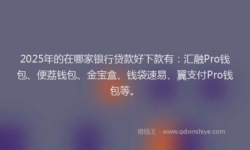 2025年的在哪家银行贷款好下款有：汇融Pro钱包、便荔钱包、金宝盒、钱袋速易、翼支付Pro钱包等。