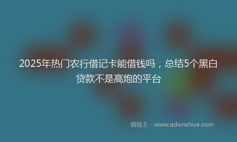 2025年热门农行借记卡能借钱吗，总结5个黑白贷款不是高炮的平台