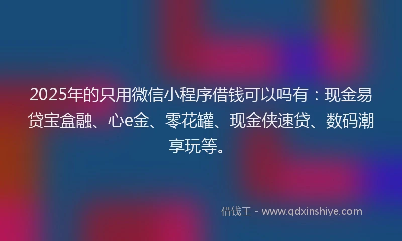 2025年的只用微信小程序借钱可以吗有：现金易贷宝盒融、心e金、零花罐、现金侠速贷、数码潮享玩等。