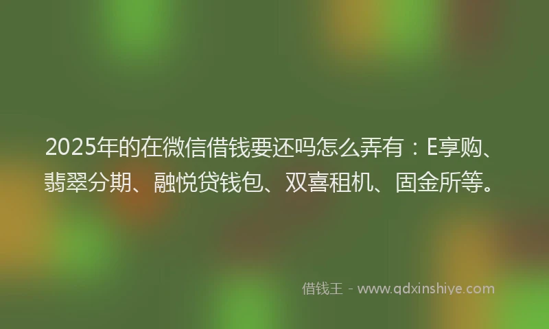 2025年的在微信借钱要还吗怎么弄有：E享购、翡翠分期、融悦贷钱包、双喜租机、固金所等。