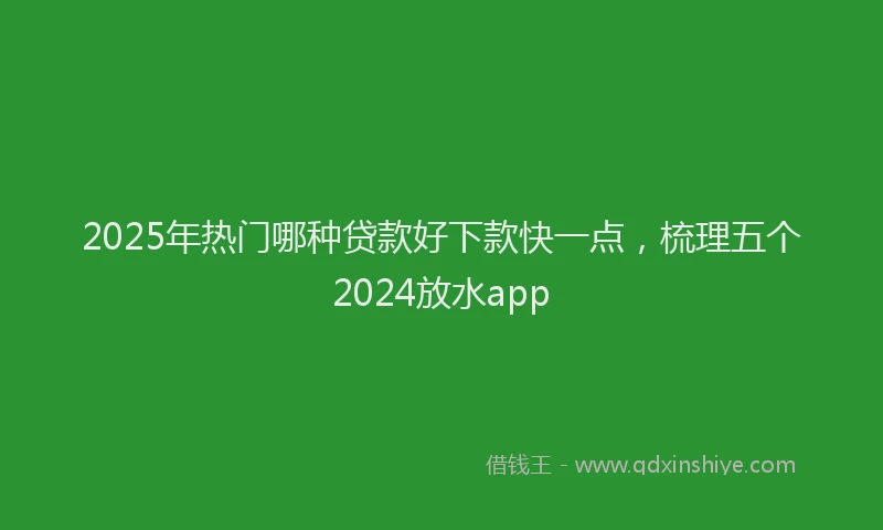 2025年热门哪种贷款好下款快一点，梳理五个2024放水app