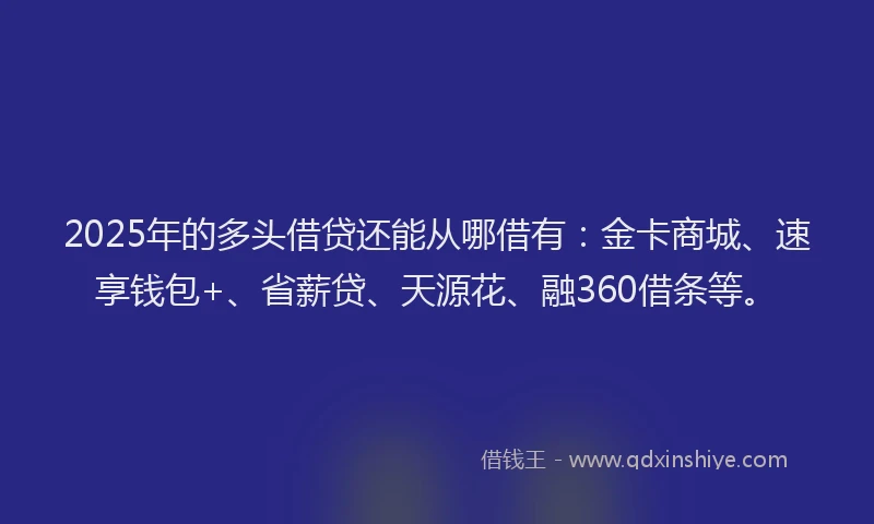 2025年的多头借贷还能从哪借有：金卡商城、速享钱包+、省薪贷、天源花、融360借条等。