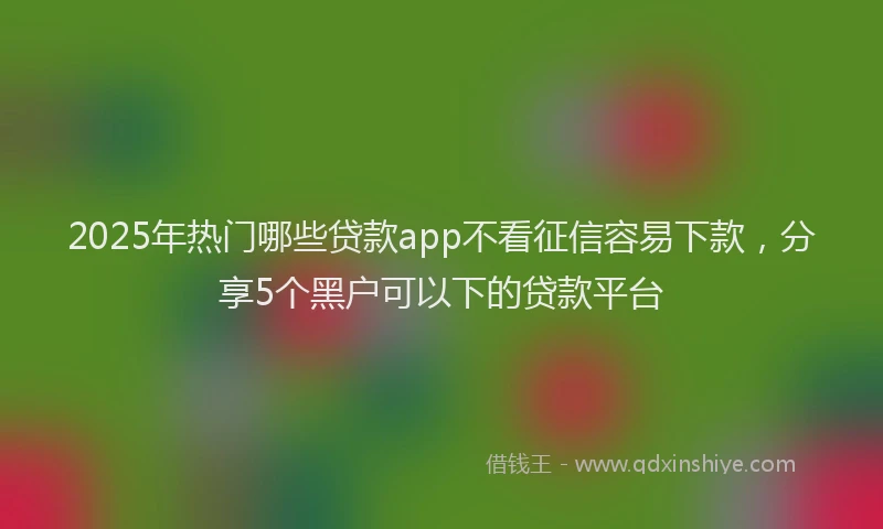 2025年热门哪些贷款app不看征信容易下款，分享5个黑户可以下的贷款平台