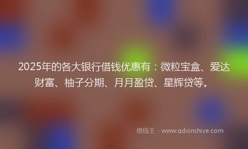 2025年的各大银行借钱优惠有：微粒宝盒、爱达财富、柚子分期、月月盈贷、星辉贷等。
