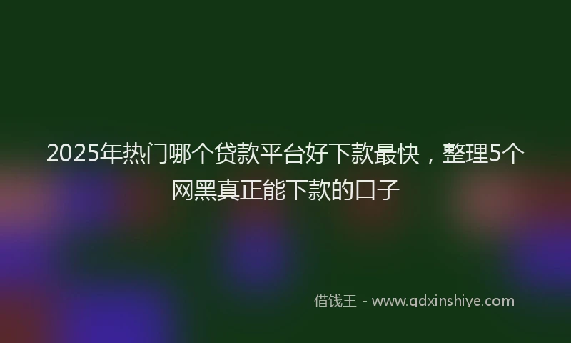 2025年热门哪个贷款平台好下款最快，整理5个网黑真正能下款的口子